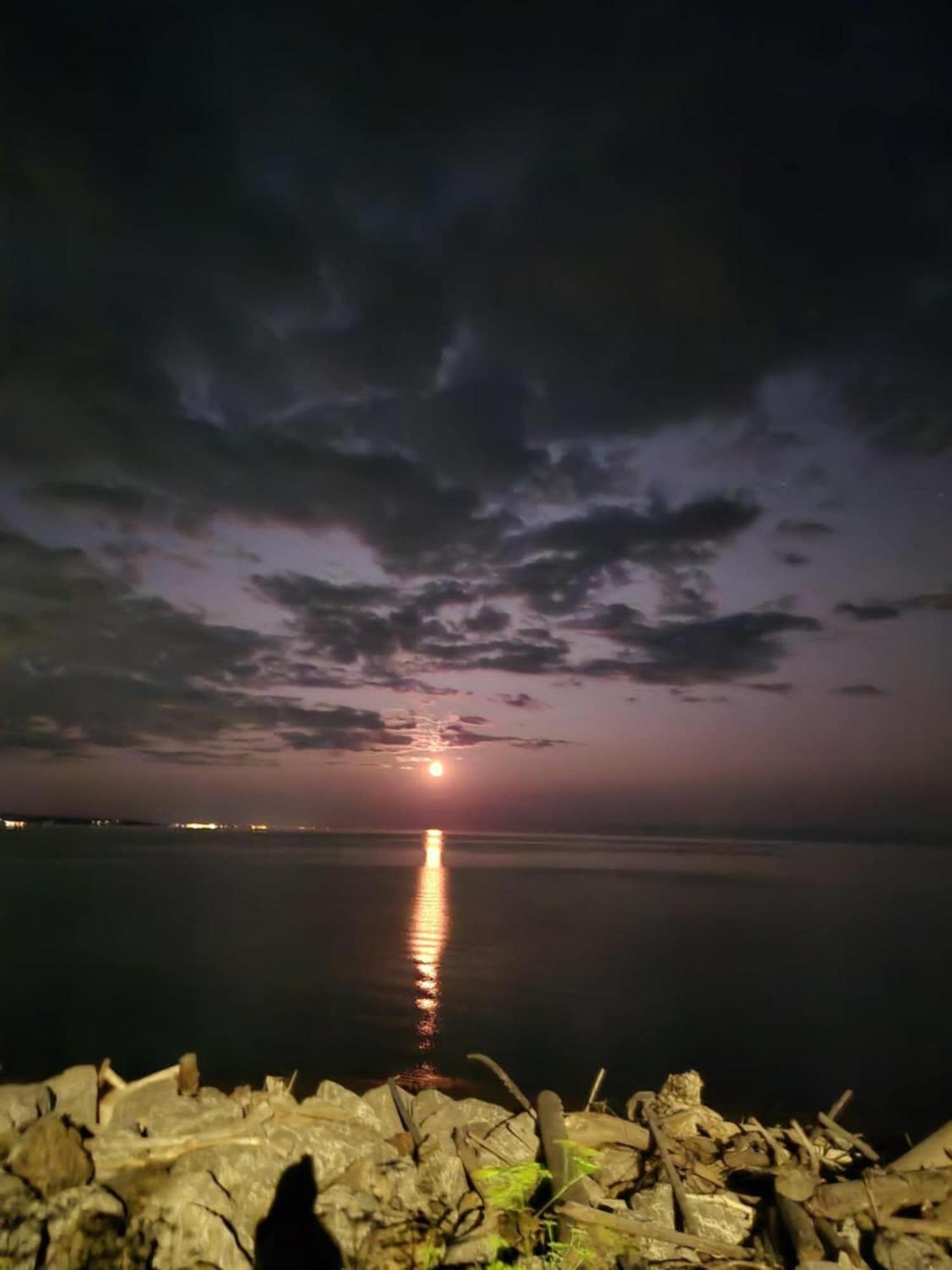 Motel Leblanc Carleton-sur-Mer Exteriér fotografie